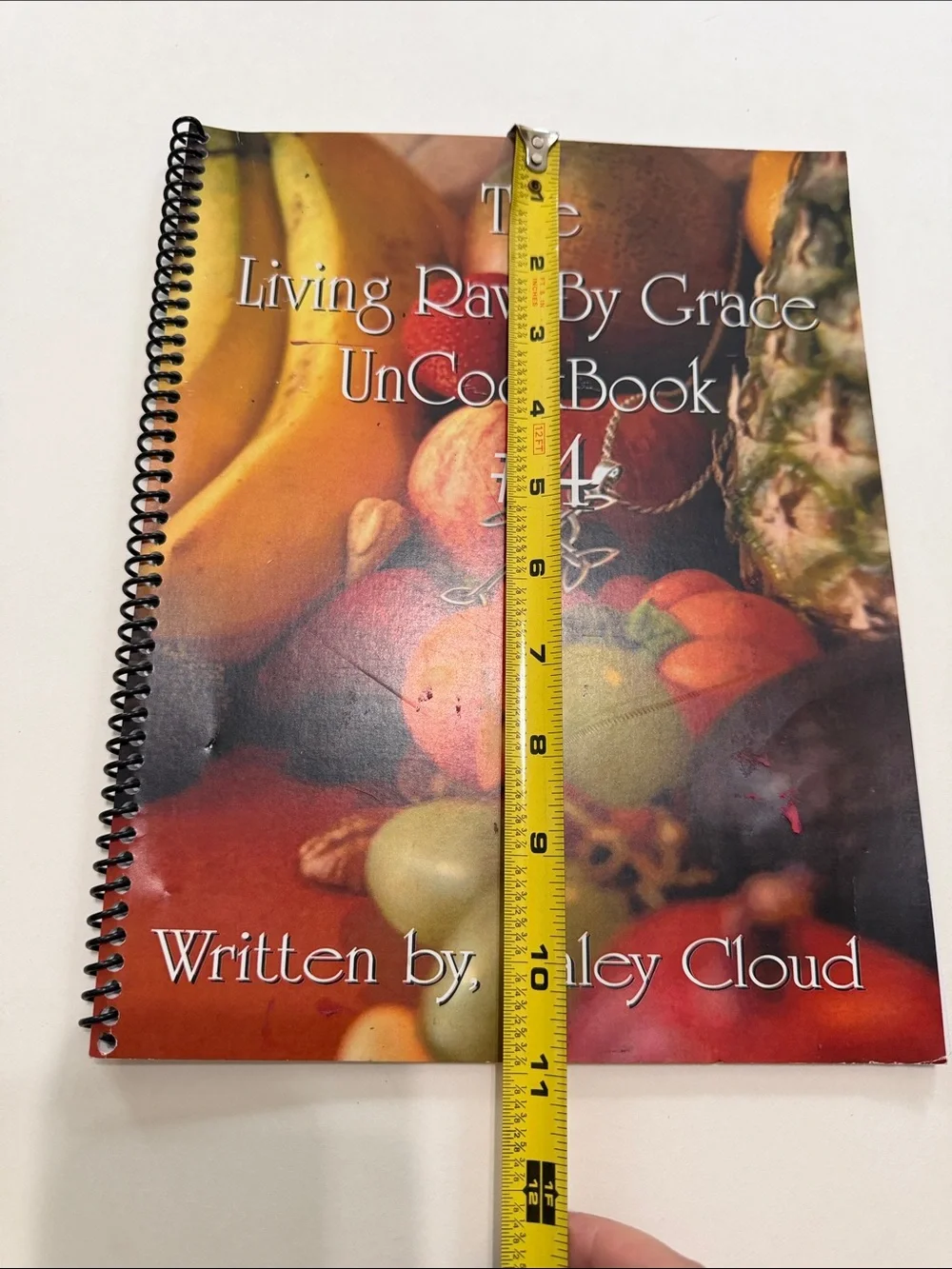 Haley Cloud Living Raw By Grace UnCookBook #4 - Red/Orange Cover